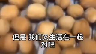 拿这些面包比喻一下