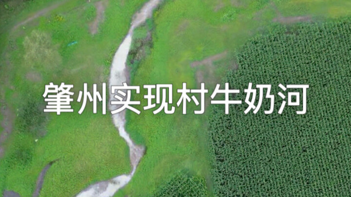 In Zhaozhou, the Village Milk River has a pungent odor, fish and shrimp have disappeared, and it can