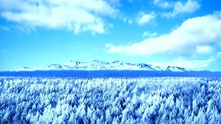 Televisão Central da Coreia (11.03.2026)