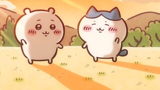 [chiikawa]Những em bé không muốn bị chia cắt. .