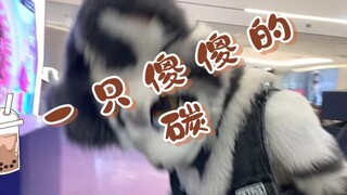 银碳居然来我们城市了