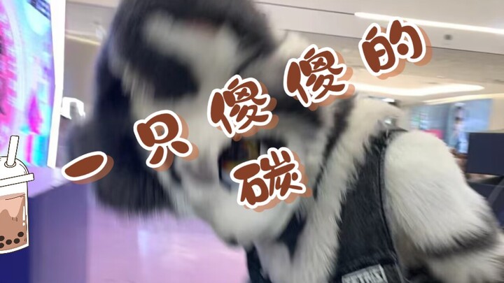 银碳居然来我们城市了
