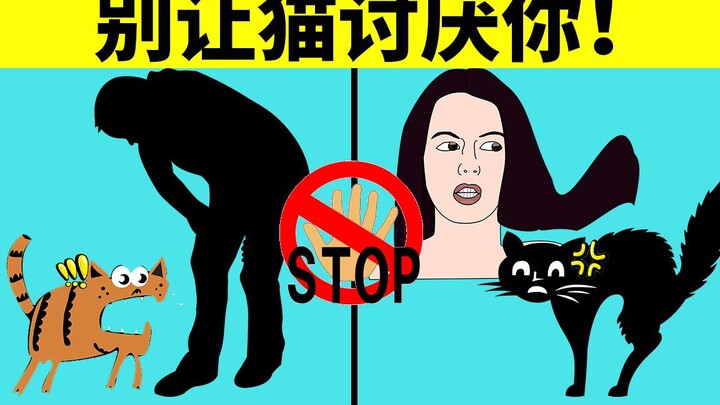 6 things that will make your cat hate you. How many of them have you done?