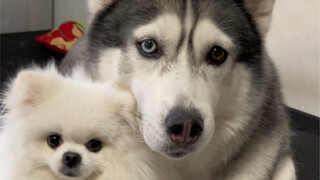 Emotional, but not overly so