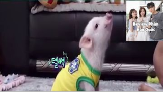 Chú Lợn Cute Phô Mai Quê Hàn Quốc #ReviewPhimHan