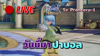🔴 Ragnarok Origin | Monk งบน้อย สายปาบอล PVE ล้วน