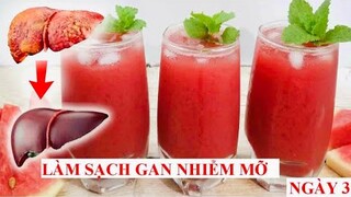 THỨC UỐNG MẠNH NHẤT LÀM SẠCH GAN NHIỄM MỠ, MÁU NHIỄM MỠ, Clean Out Your Liver/SINH TỐ DƯA DẤU -DAY 2