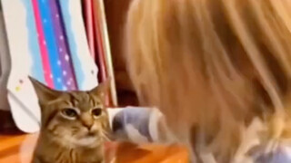 Kucing: Semuanya gara-garamu, melahirkan makhluk apa ini?