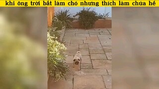 làm chúa hề mới chịu cơ