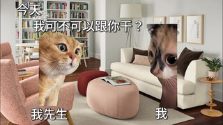 [猫meme]我先生的跨文化笑话, 而这都是我的错2-要给我干活？