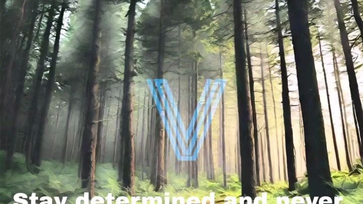 第五城Vcity