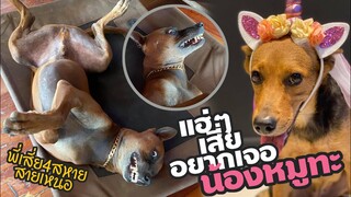 หมูทะ ถ้าพี่เสี่ยสี่สหายสายเหน่อ มาจีบแม่บูมจะว่าไงนะ OMG! เสี่ยอยากได้ที่นอน ฮาน่ารักมาก