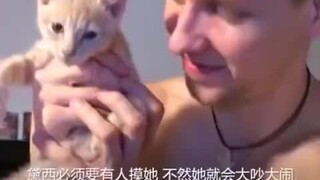 国外一只小奶猫非常喜欢被摸，如果不摸就大喊大叫，奶凶奶凶的~