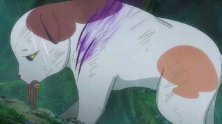 爱而不得真的才是人间常态吗？