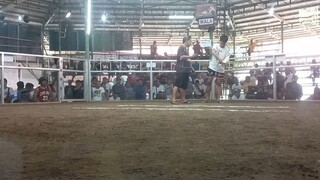 first fight win 2hits Hulutan win using white kelso Pugo sports complex