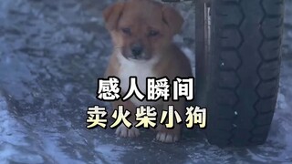 Chú cún bán diêm gặp được vị thần nhân hậu trong mùa đông này