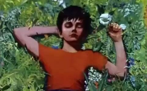Hunter x Hunter: The Hunted