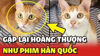 Khoảnh khắc gặp lại Hoàng Thượng sau khi nghỉ Tết như phim Hàn Quốc 😍 | Yêu Lu