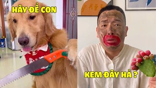 Tứ Mao | Khi Tứ Mao Làm Kem "ẢO MA CANADA" Cho Bố Ăn Sẽ NTN ?... 🤣 Gâu Đần Official