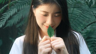Cahaya bulan putih milik siapakah ini?