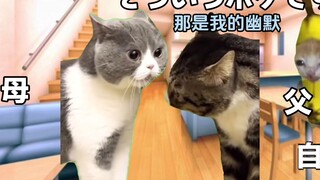 【熟/猫meme】在背后说人坏话的父母