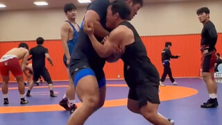 قوة مصارع قصير القامة