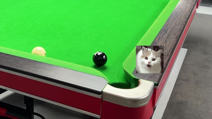 班里最后一排的学生当了老板…