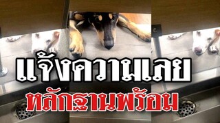 แจ้งความเลยอย่าให้ผู้ร้ายลอยนวล เห็นหน้าชัดแบบนี้หาตัวไม่ยาก