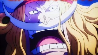 This might be the most underestimated time for Whitebeard, right?
