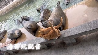 看来位置真的很重要