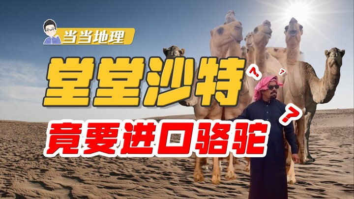 Mengguncang langit! Mengapa Saudi yang dipenuhi unta di setiap sudut justru masih mengimpor unta? [G