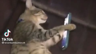 Sleep Call😂