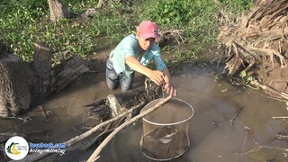 Cá Trê Um Nước Cốt Dừa | Hội Ngộ Miền Tây - Tập 150