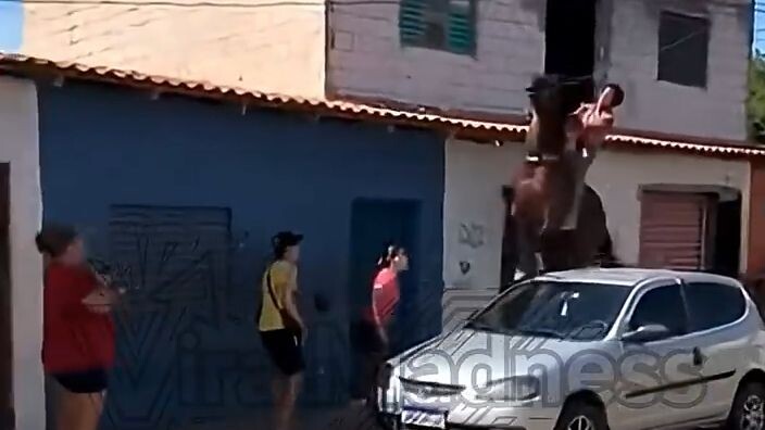 A leap that turned into total chaos