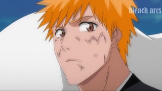 Arrancar vs. Shinigami Full Arc English Dubbed [1080p] (ep. 190-203)
