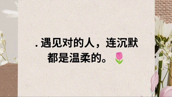 连沉默都是温柔的。🌸