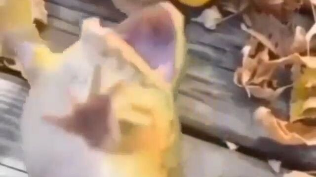 phản ứng của tao: