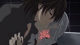 Jiulanshu × Zero】Vampire Knight Memorial