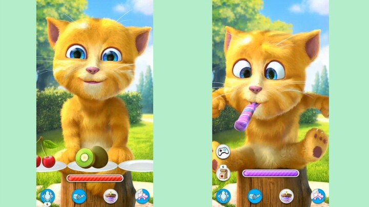 Reverse Talking Ginger VS Talking Ginger Battle!