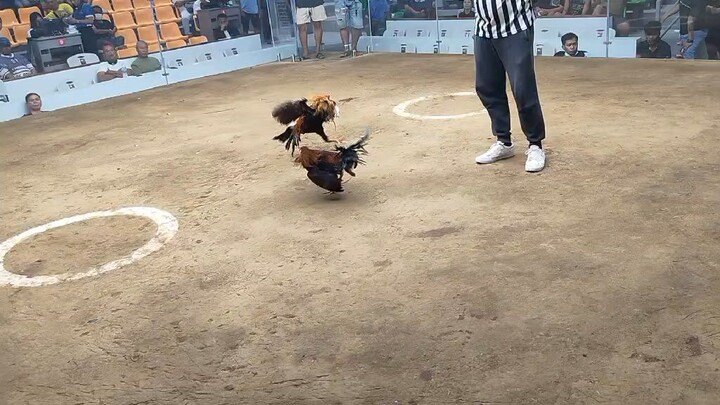 2hits sa Cavite Coliseum