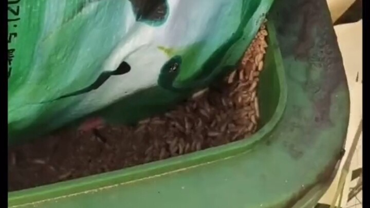 Found the source of the stench while fishing in the wild—seriously, who’d haul trash this far just t