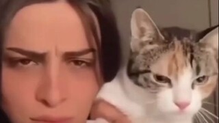 A Guide to Discouraging Cat Ownership