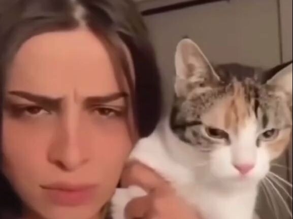 A Guide to Discouraging Cat Ownership