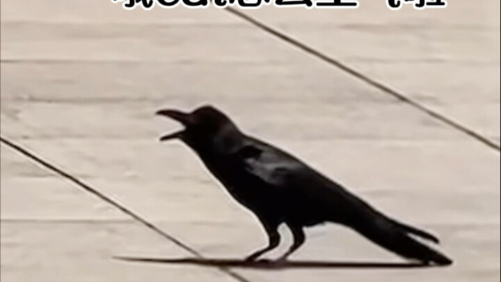 “Kamu benar-benar nggak punya harga diri!”