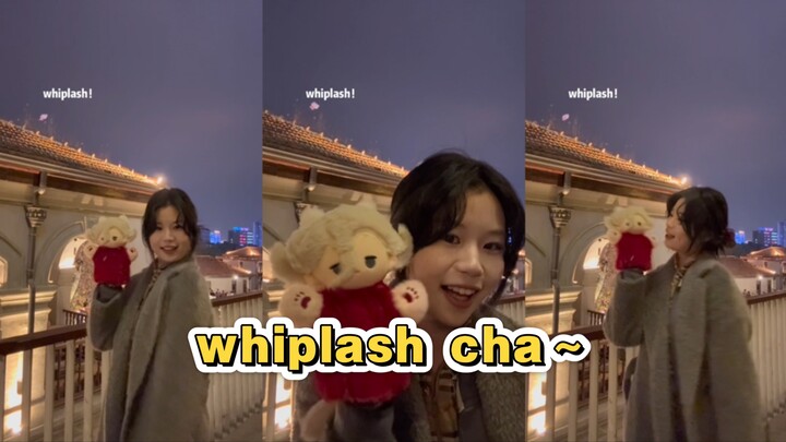 和小红夫人一起whiplash～