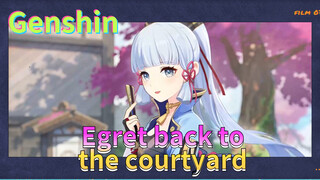 Egret back to the courtyard