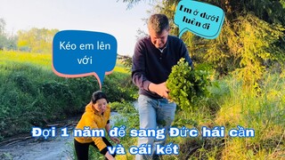 Hai vợ chồng sang Đức lội xuống bùn hái cần nước, Mai le cuộc sống ở Pháp