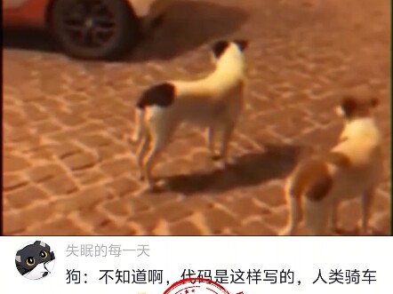 Chó: Tôi không đến đâu, tự động truy kích!