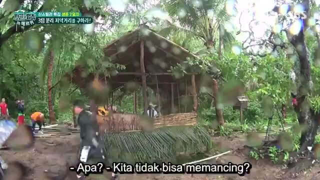 law of the jungle myanmar ep 9 sub indo
