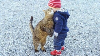 When you are my little friend - Cute Moments Cat and Human🥰